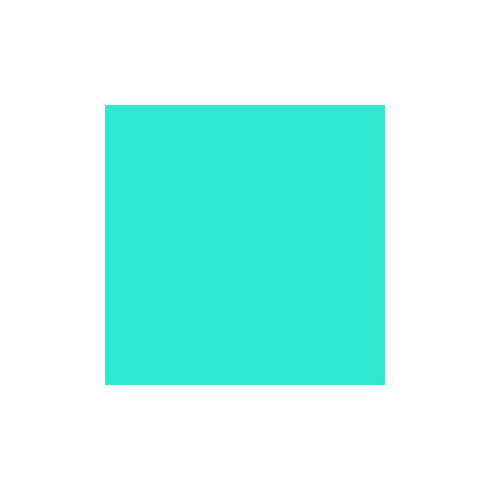 Rosco E-Colour+ 219 Fluoresent Green