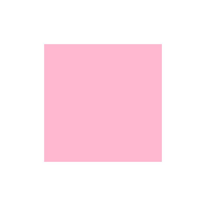 Rosco E-Colour+ 247 Minus Green