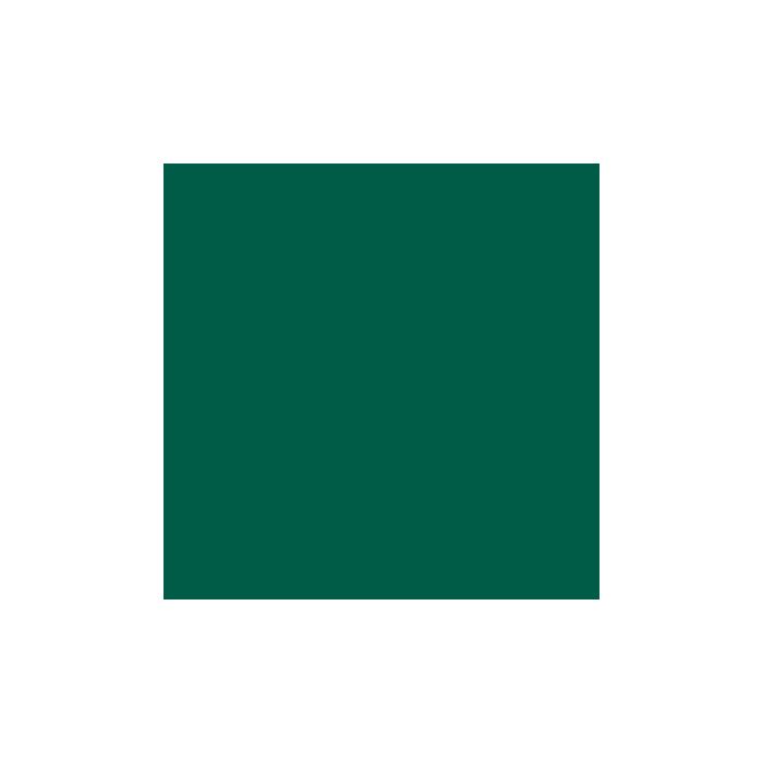 Rosco E-Colour+ 325 Mallard Green