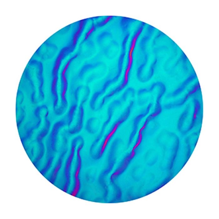 Rosco Colorwave Cyan Dune X-Effects size