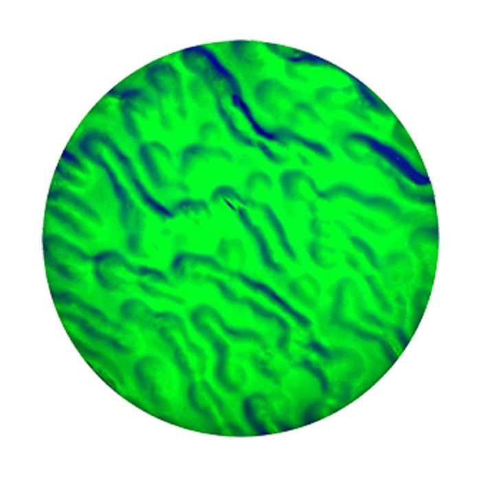 Rosco Colorwave Green Dune Custom size